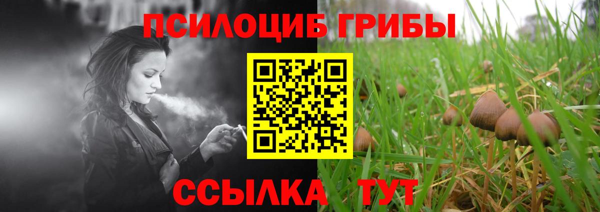 Галлюциногенные грибы прущие грибы Нижний Тагил